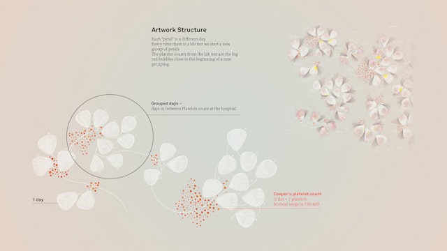 A data humanist approach allowed a frightening experience to inspire cathartic works of art.